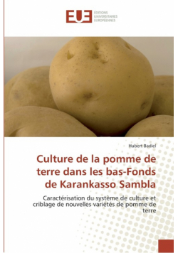 Culture de la pomme de terre dans les bas-fonds de karankasso sambla
