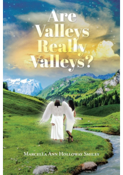Are Valleys Really Valleys?
