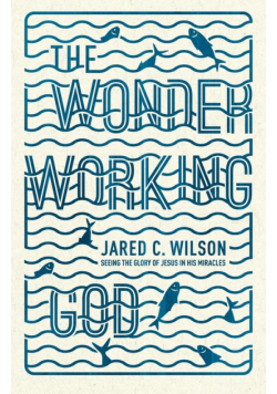 The Wonder-Working God
