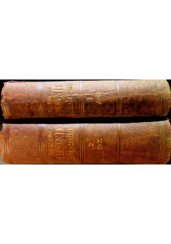 Słownik polsko - łaciński tom 1 i 2 1866 r.