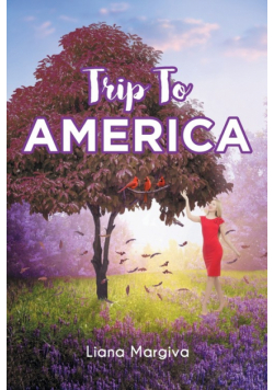 Trip To America
