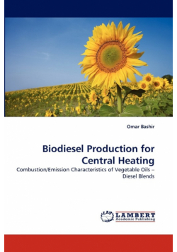 Biodiesel Production for Central Heating
