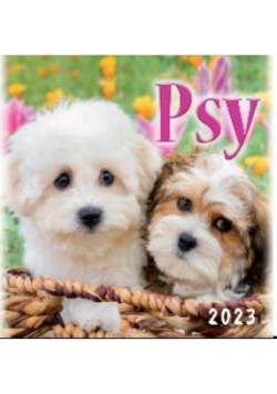 Kalendarz 2023 Wieloplanszowy Psy ARTSEZON