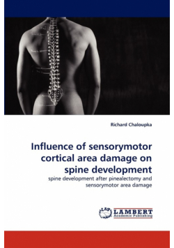 Influence of Sensorymotor Cortical Area Damage on Spine Development