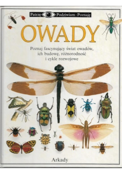 Owady
