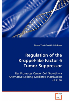 Regulation of the Krüppel-like Factor 6 Tumor Suppressor
