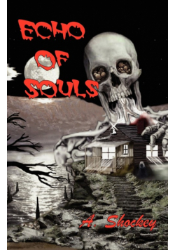 Echo of Souls
