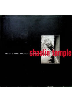 Shaolin temple