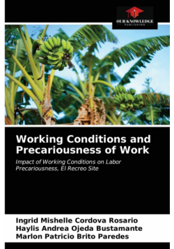 Working Conditions and Precariousness of Work