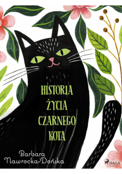 Historia życia czarnego kota