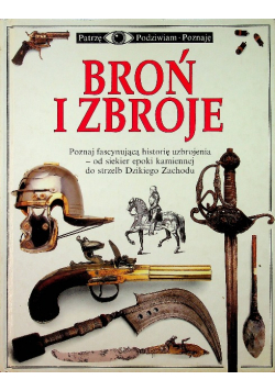 Broń i zbroje