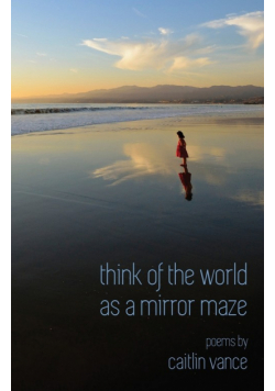 Think of the World as a Mirror Maze