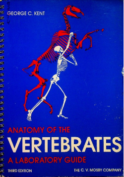 Anatomy of vartebrates a laboratory guide