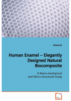Human Enamel - Elegantly Designed Natural  Biocomposite