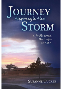 Journey Through the Storm