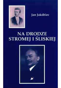 Na drodze stromej i śliskiej